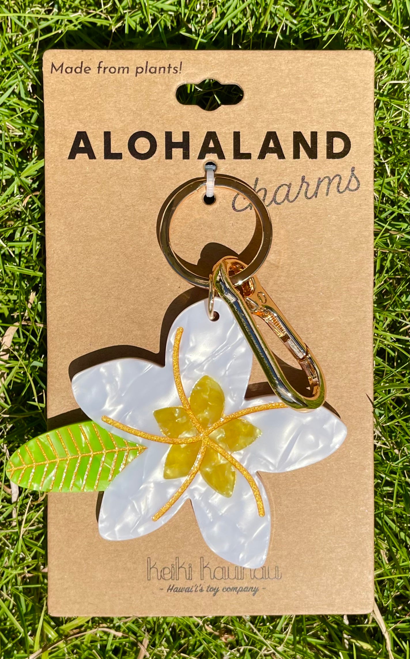 ALOHALAND Charms