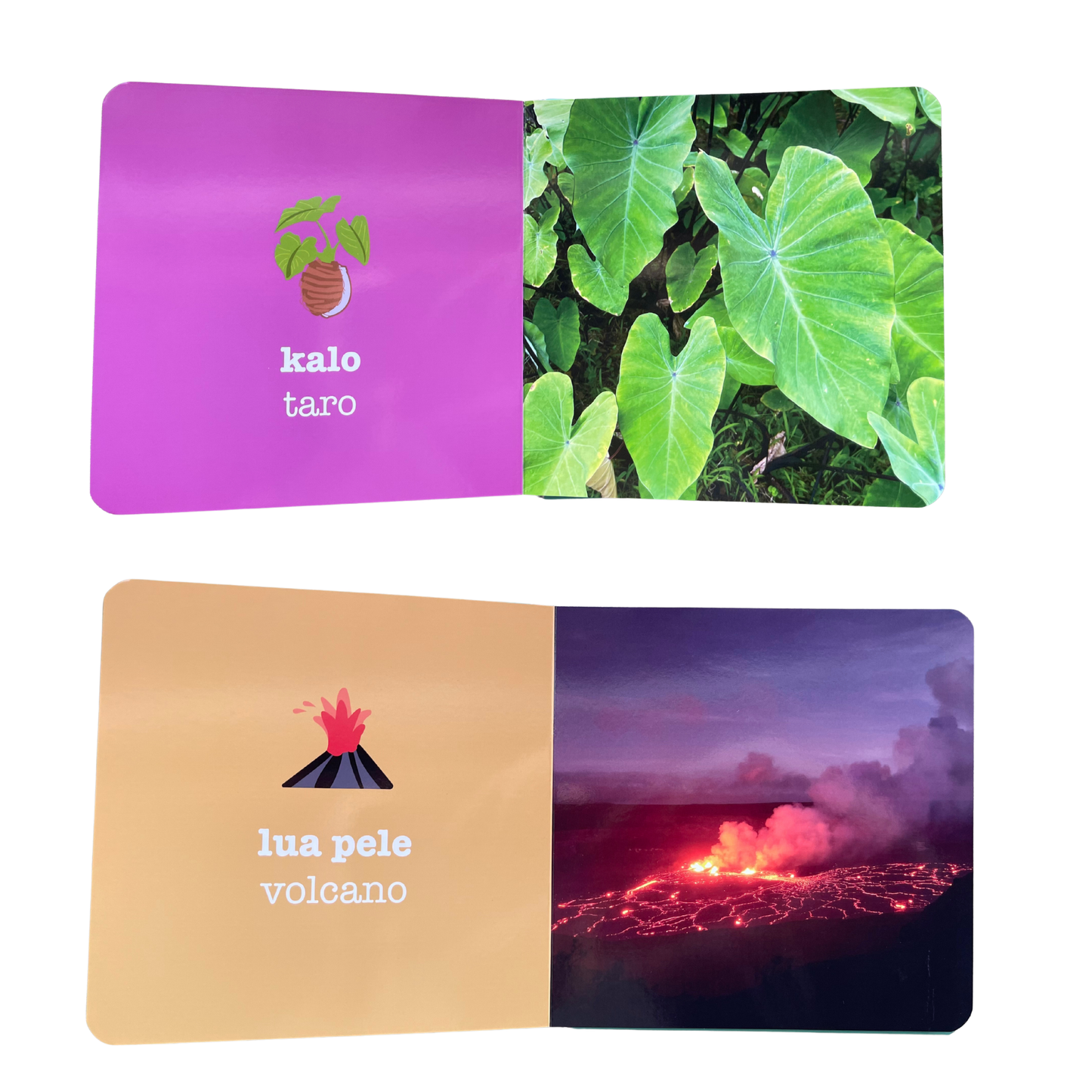 ALOHALAND Keiki Word Book