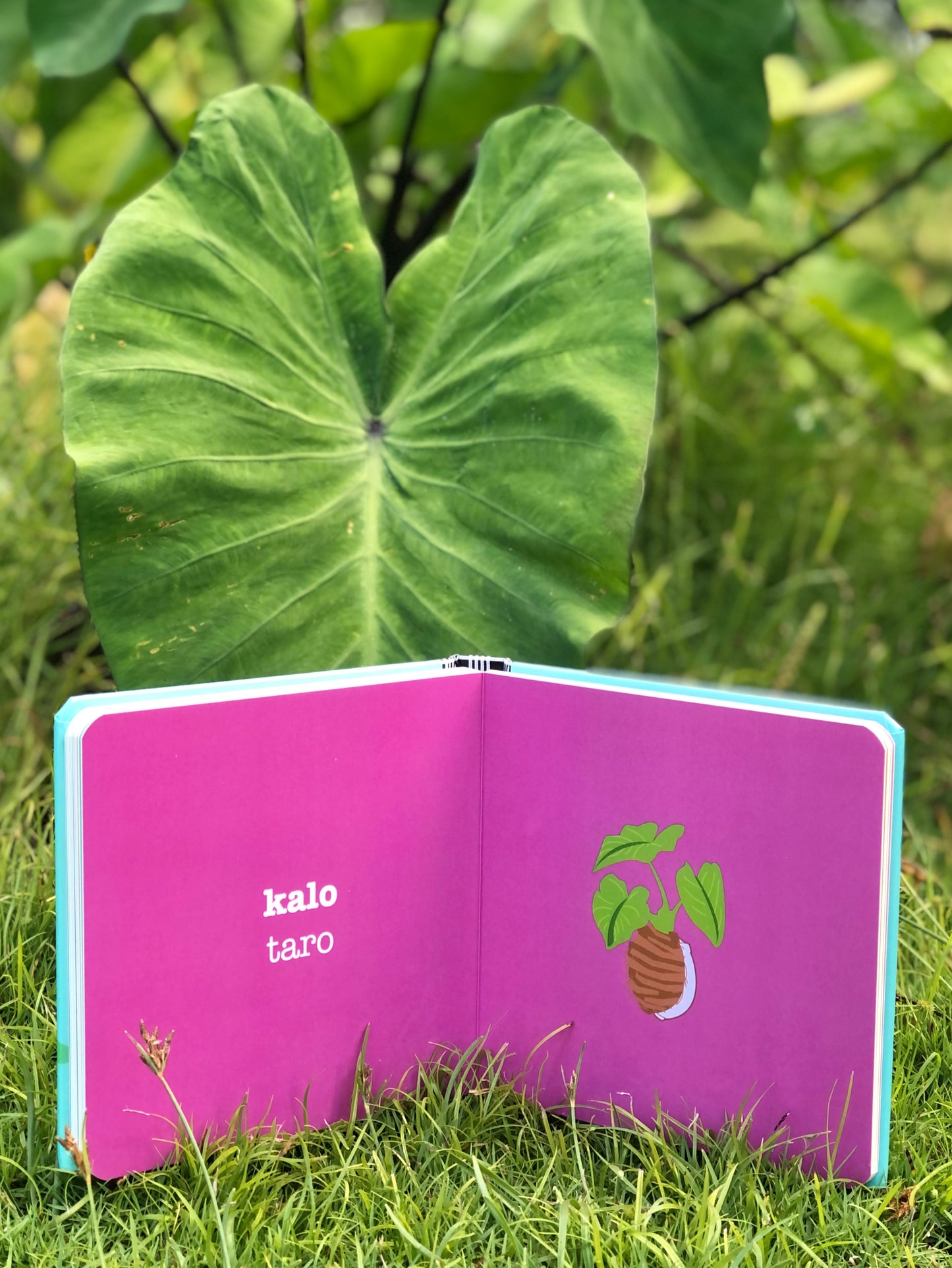ALOHALAND book open to a spread on taro